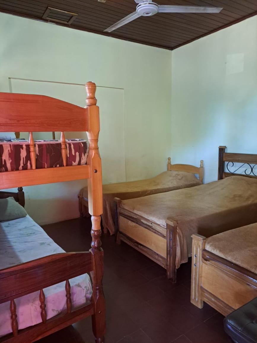 Hummingbird Hostel Сьюдад-дель-Эсте Экстерьер фото