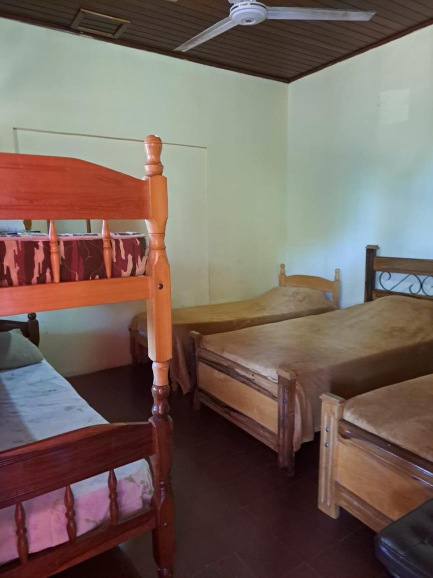 Hummingbird Hostel Сьюдад-дель-Эсте Экстерьер фото